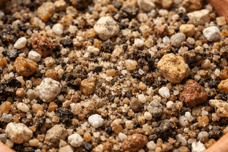 jaka ziemia do aloesu