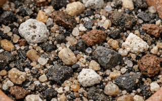 jaka ziemia do kaktusów