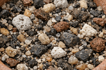 jaka ziemia do kaktusów