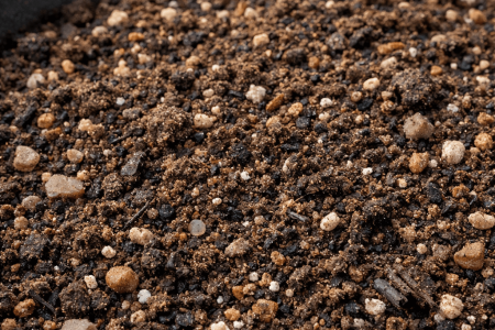 jaka ziemia do traw ozdobnych